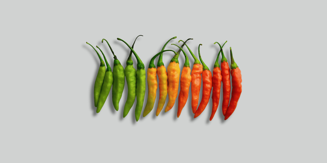 Recetas - Salsas Trucho