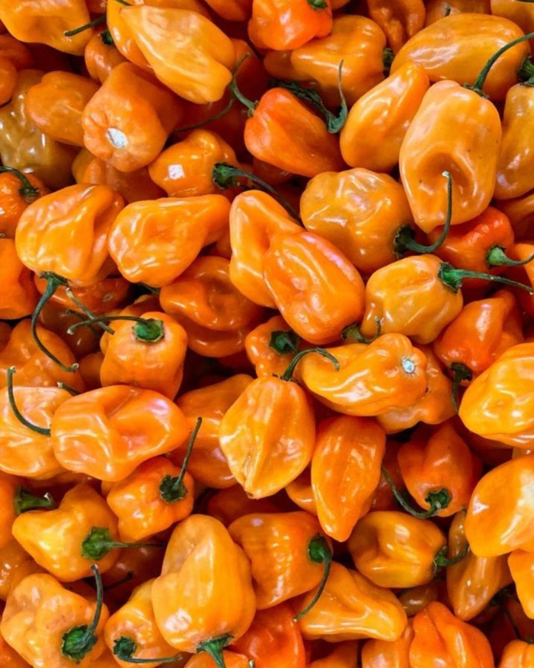 4.- Salsa Yucatown - Habanero