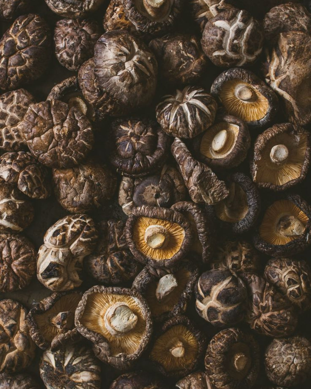 1.- Salsa Clasica - Jalapeño rojo