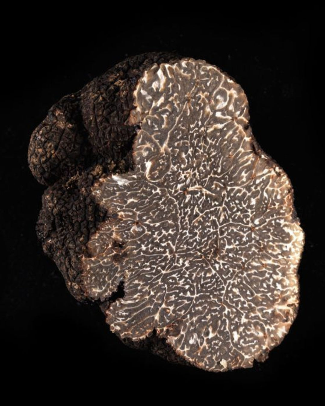 5.- Salsa Clasica Trufada - Jalapeño rojo