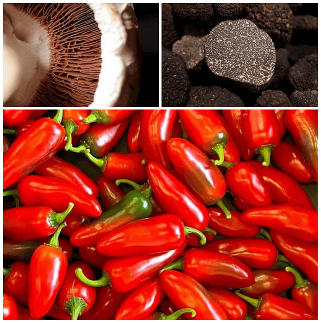 5. - Salsa Clasica Trufada - Jalapeño rojo - Salsas Trucho
