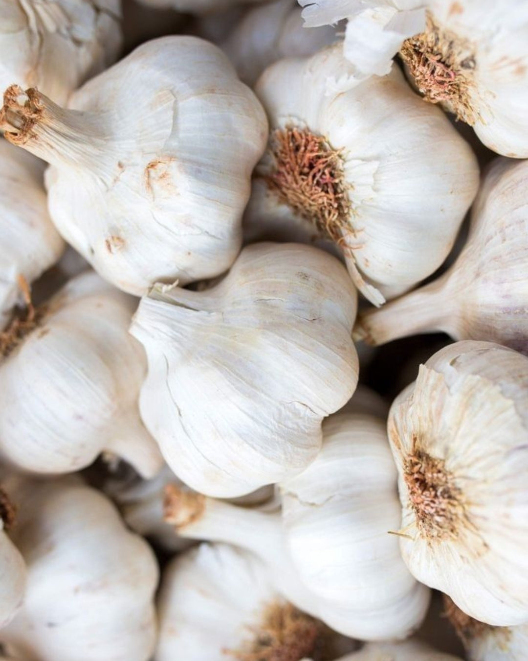 7.- Chipotles Bombu - Alma Japonesa