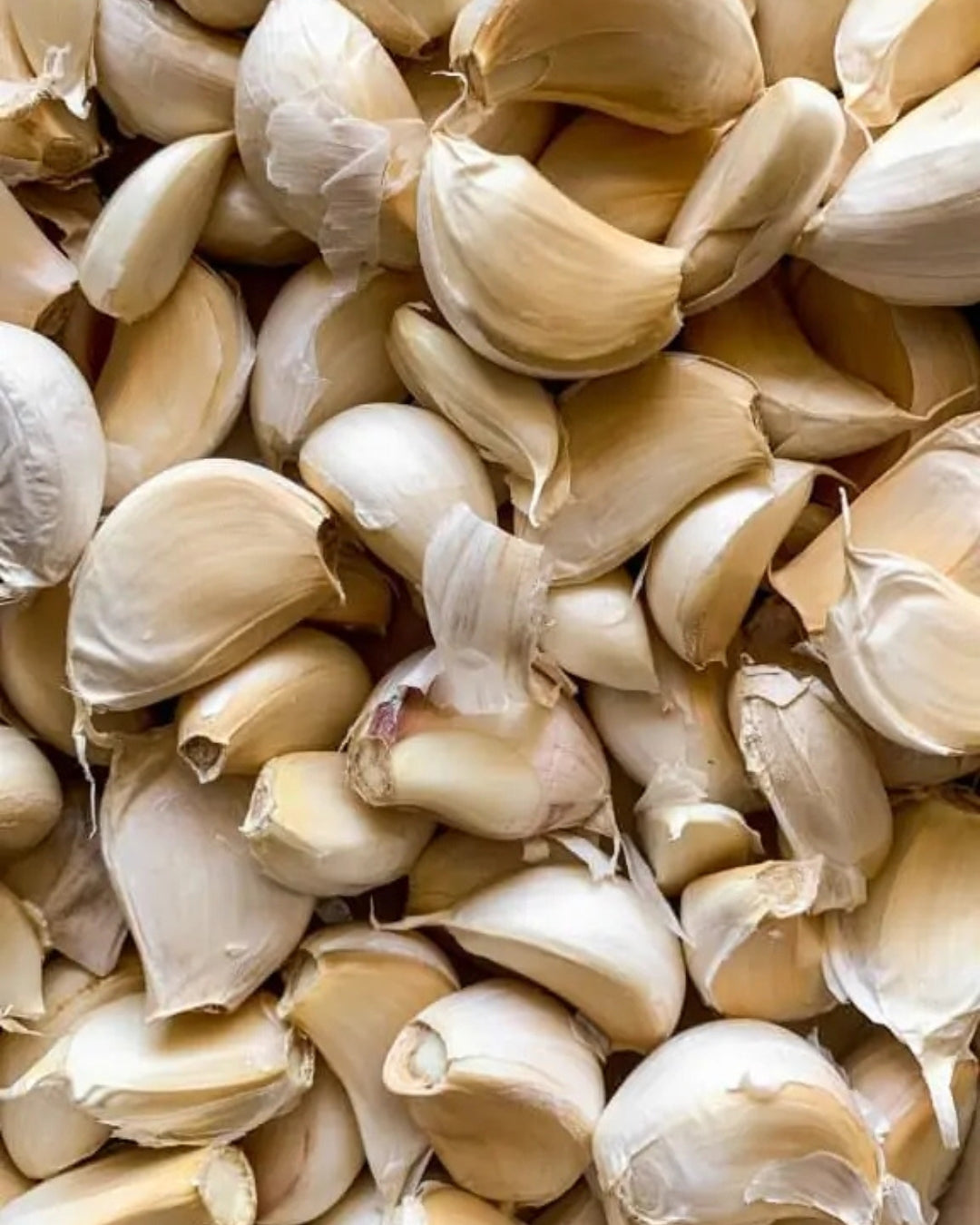 5.- Salsa Clasica Trufada - Jalapeño rojo