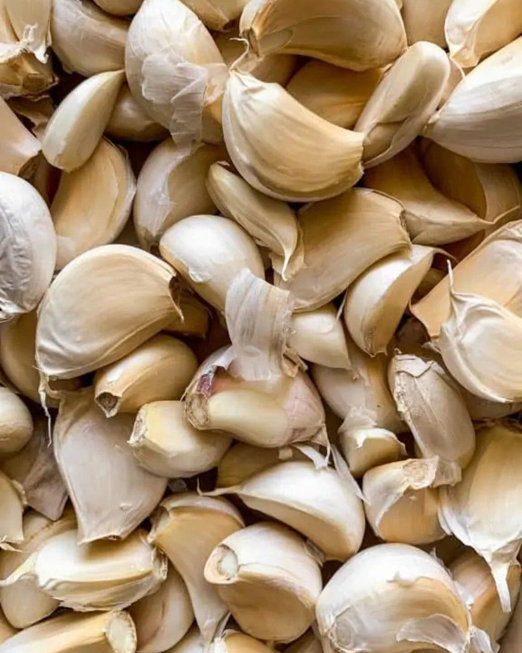 2.- Salsa Pioja - Morita Ahumado